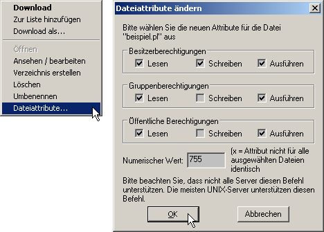 chmod mit FileZilla